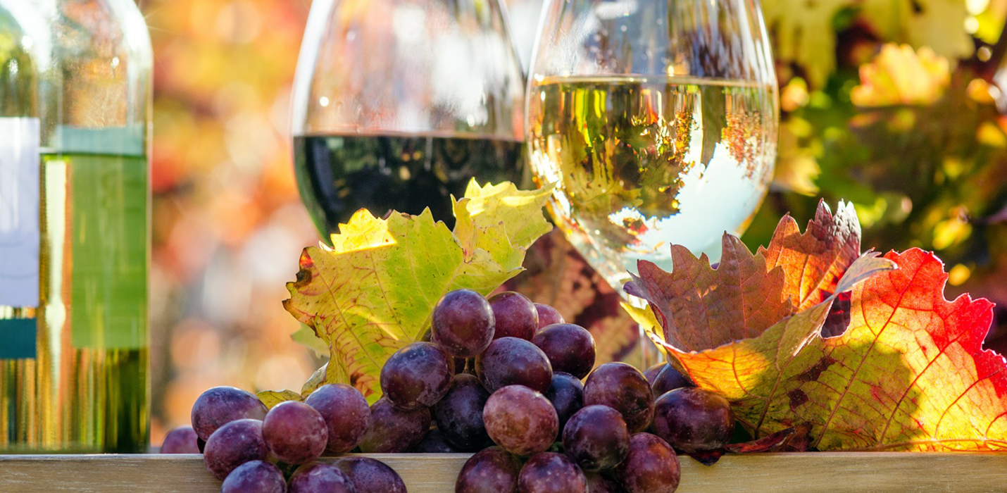 Wein des Monats Juli