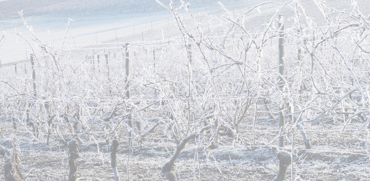 Weihnachtsangebot 2025